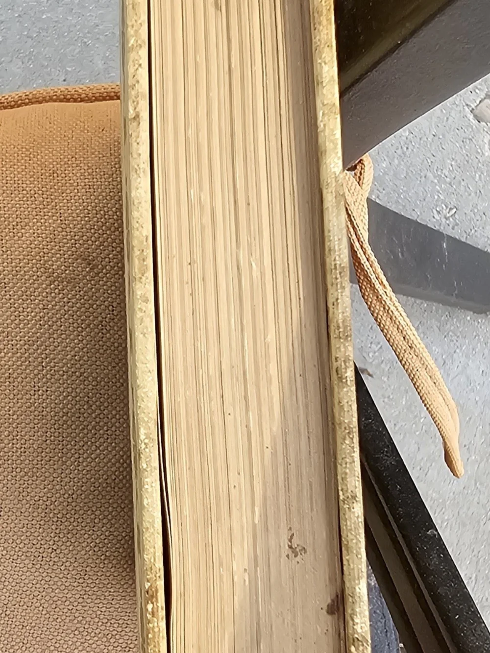 1902 Antique Two Little Pilgrims’ Progress Frances Hodgson Burnett